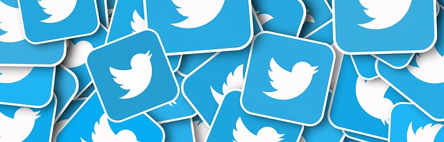 Twitter, pour des communications courtes et ciblées